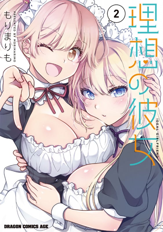 理想の彼女 2 (ドラゴンコミックスエイジ)