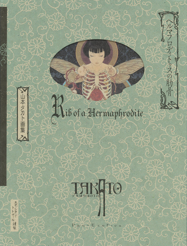 山本タカト画集　五冊 Amazon.co.jp: 山本 タカト: 本、バイオグラフィー、最新