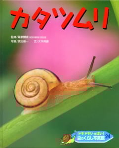ドキドキいっぱい!虫のくらし写真館 カタツムリ (24)