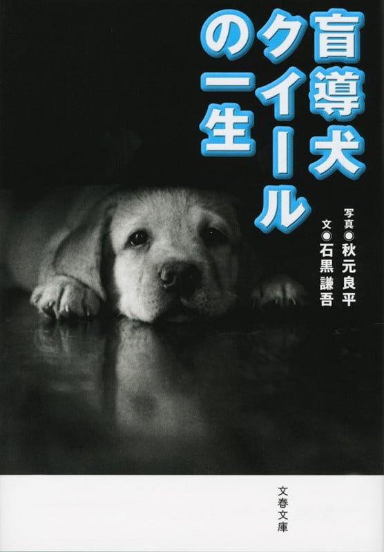 盲導犬クイールの一生 新装版 (文春文庫)