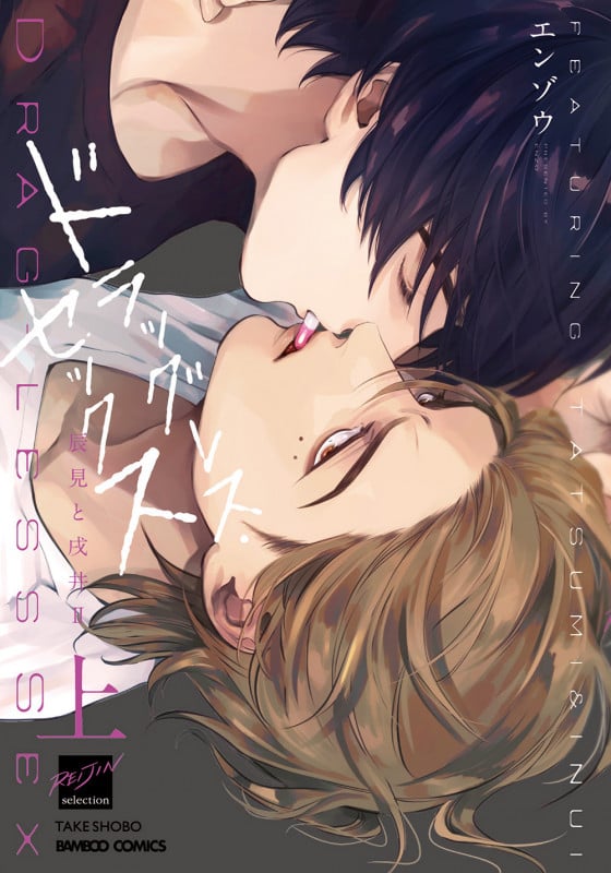 ドラッグレス・セックス 辰見と戌井2 (上) (バンブーコミックス 麗人セレクション)