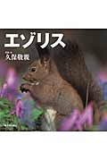 エゾリス (北国の野生動物)