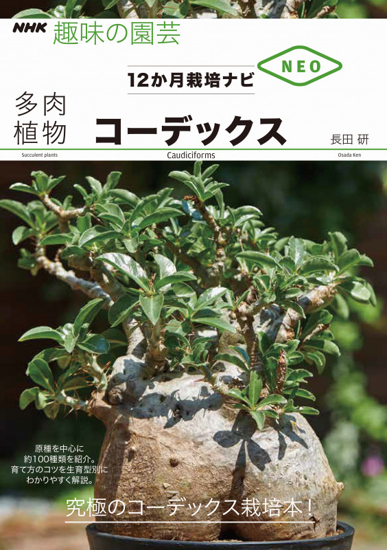 コーデックス (NHK趣味の園芸 12か月栽培ナビNEO )の詳細を見る