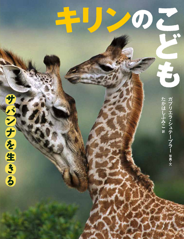 キリンのこども (サバンナを生きる)の詳細を見る