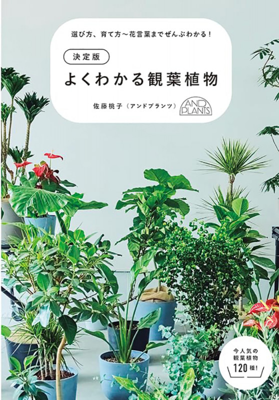 決定版 よくわかる観葉植物