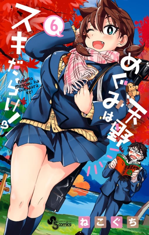 天野めぐみはスキだらけ! (6) (サンデーC)