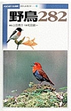 野鳥282