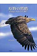 原野の鷲鷹 北海道・サロベツに舞う