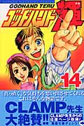 ゴッドハンド輝 (14) (マガジンKC)