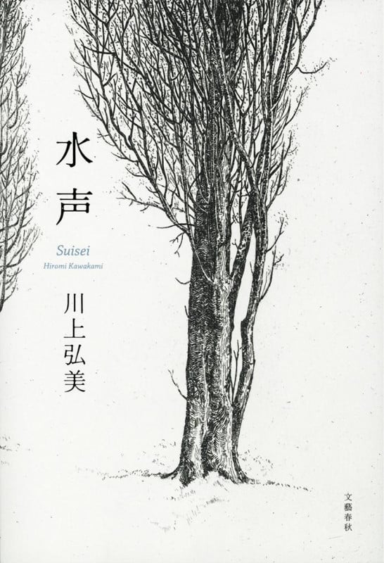 水声の詳細を見る