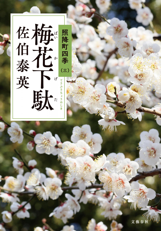 梅花下駄 照降町四季(三)の詳細を見る