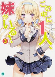 この中に1人、妹がいる! (3) (MF文庫J)