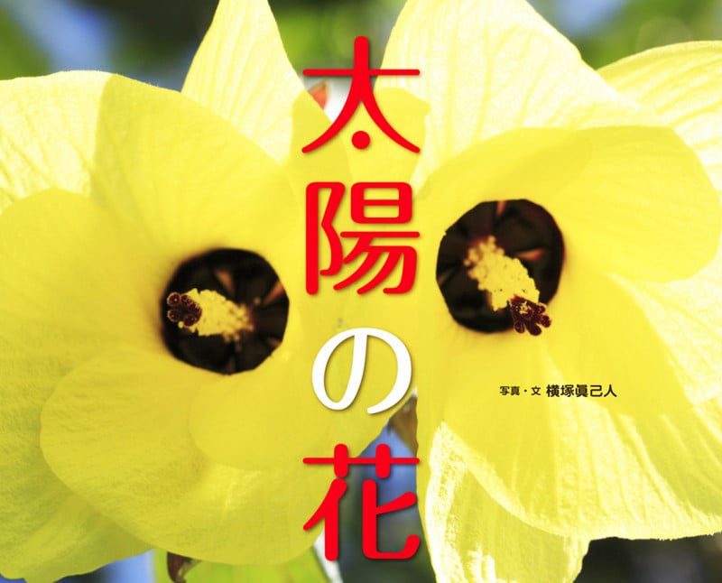 太陽の花 (ふしぎびっくり写真えほん)