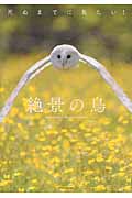 死ぬまでに見たい!絶景の鳥