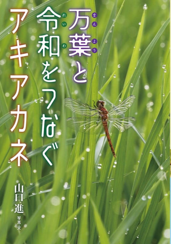 万葉と令和をつなぐアキアカネ (ノンフィクション・生きるチカラ)