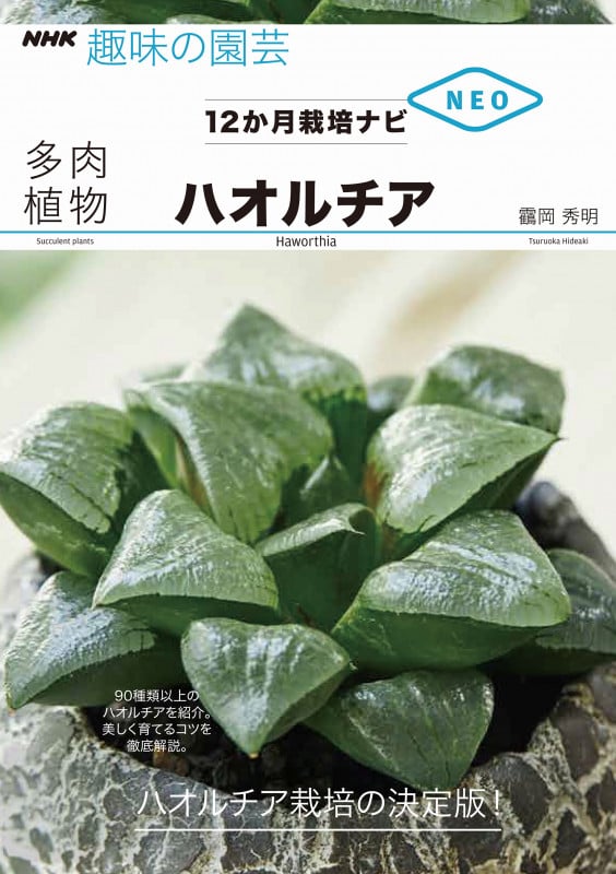 ハオルチア (NHK趣味の園芸 12か月栽培ナビNEO )