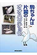 駒ちゃんは片翼のオオハクチョウ
