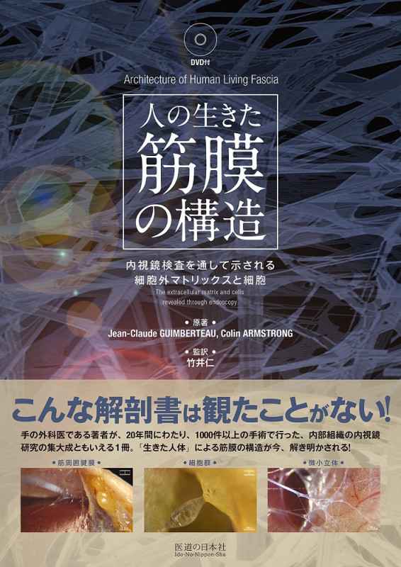 人の生きた筋膜の構造 内視鏡検査を通して示される細胞外マトリックスと細胞