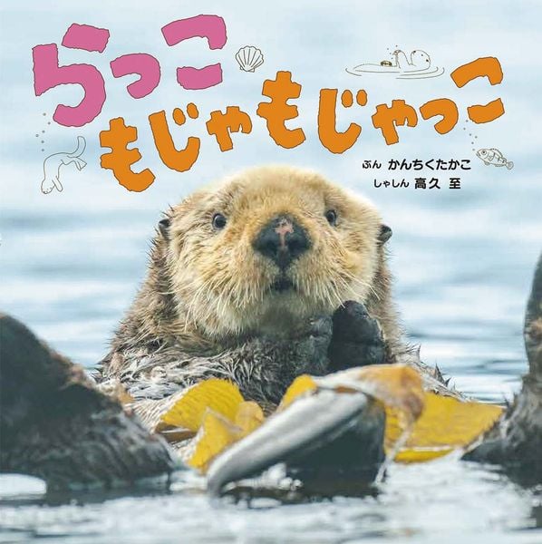 らっこ もじゃもじゃっこ