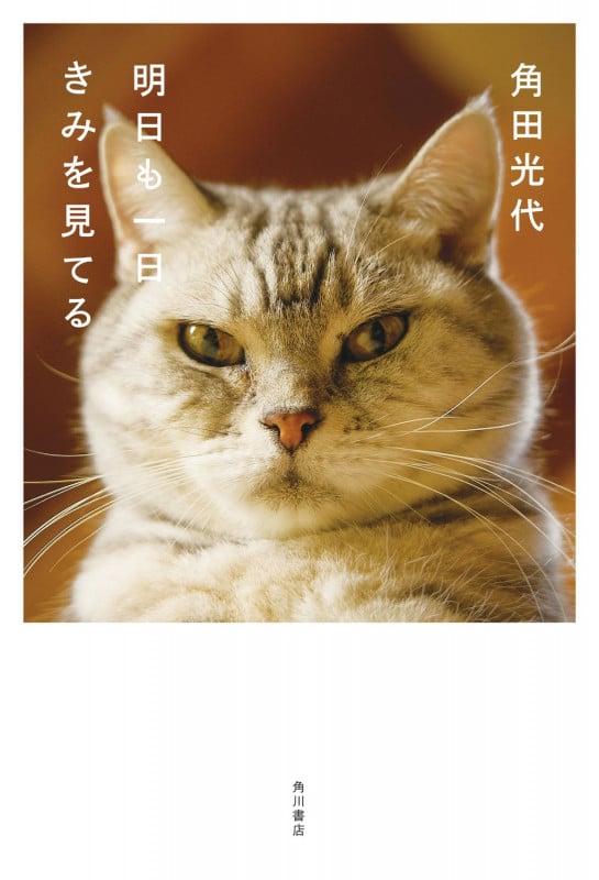 明日も一日きみを見てるの詳細を見る