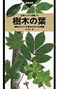 樹木の葉 実物スキャンで見分ける1100種類 (山溪ハンディ図鑑 14)