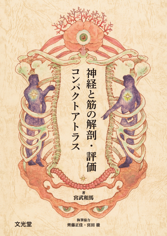 結果の出せる評価と治療 ー末梢神経とエコーから紐解く痛みの解釈ー