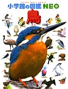 小学館の図鑑NEO 鳥 (小学館の図鑑NEO)
