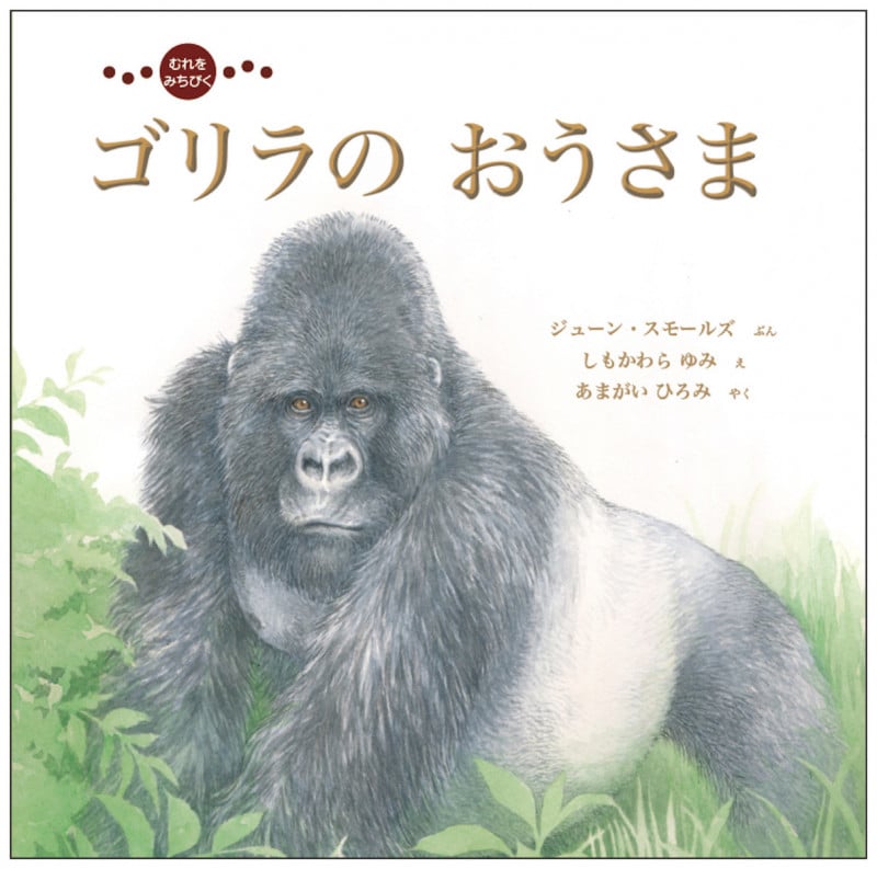むれをみちびく ゴリラのおうさま (imagination unlimited)