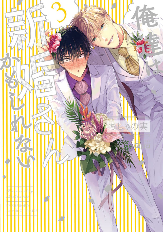 俺達は新婚さんかもしれない (3) (バンブーコミックス Qpaコレクション)