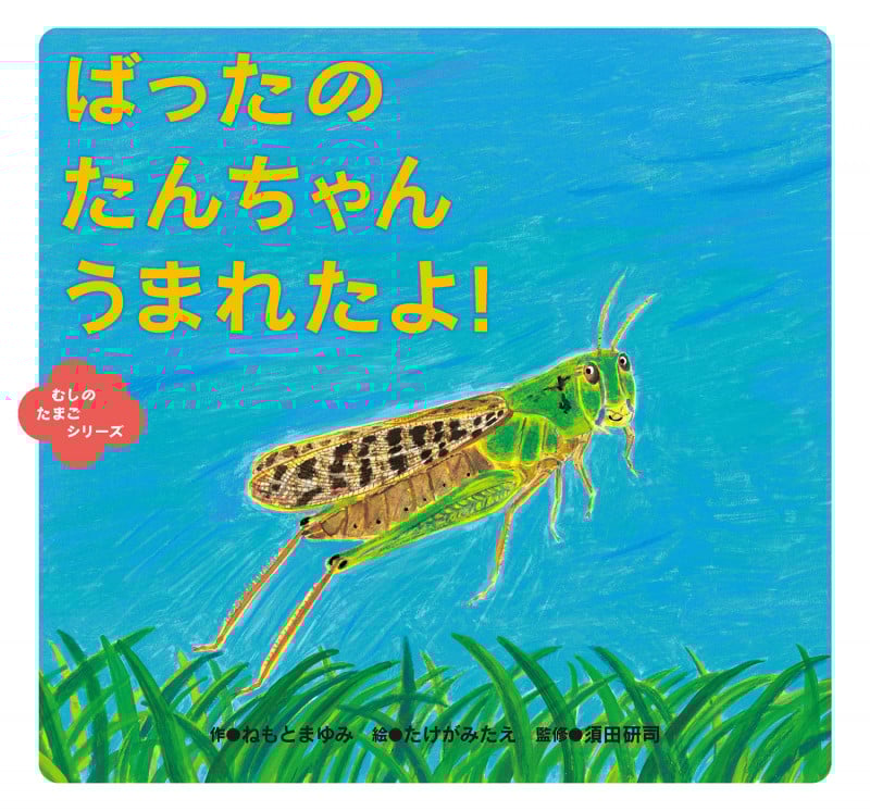 ばったの たんちゃん うまれたよ!