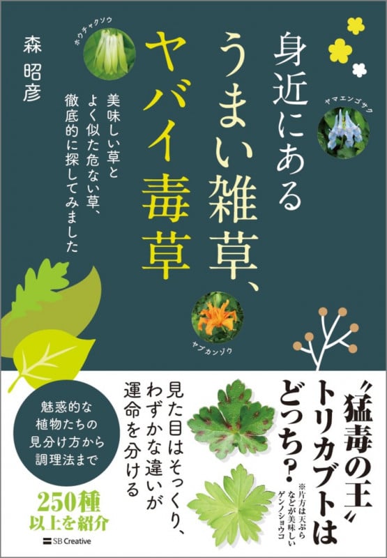 身近にある うまい雑草、ヤバイ毒草 美味しい草とよく似た危ない草、徹底的に探してみました