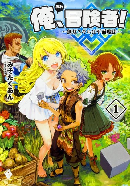 俺、冒険者! ~無双スキルは平面魔法~ 1 (MFブックス)