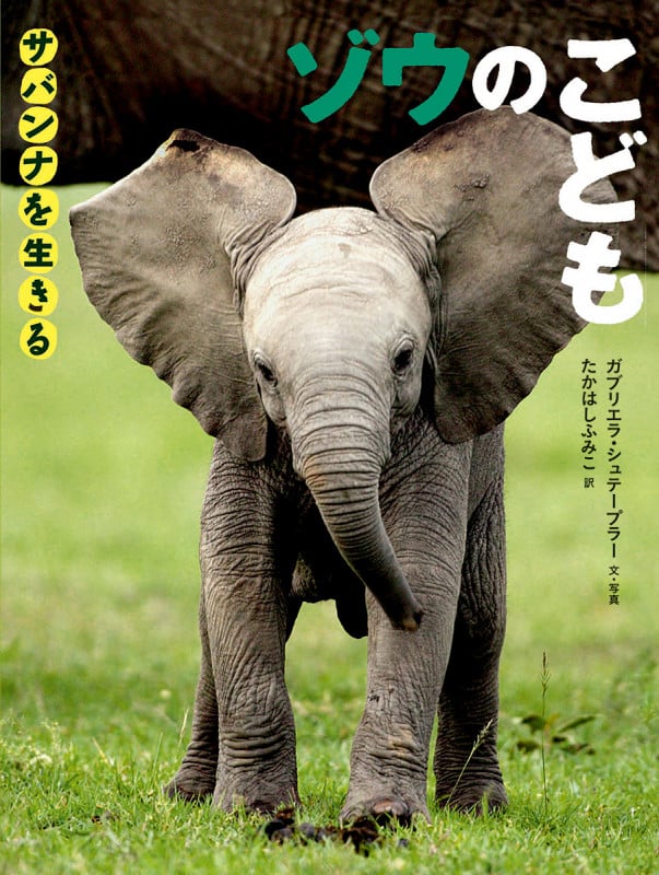 ゾウのこども (サバンナを生きる)