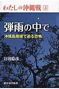 弾雨の中で 沖縄島南端で迫る恐怖 (わたしの沖縄戦 3)