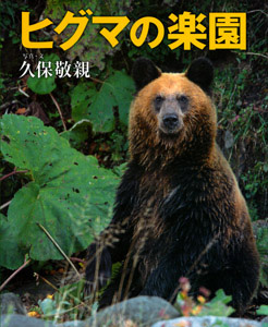 ヒグマの楽園 (シリーズ・自然 いのち ひと 11)