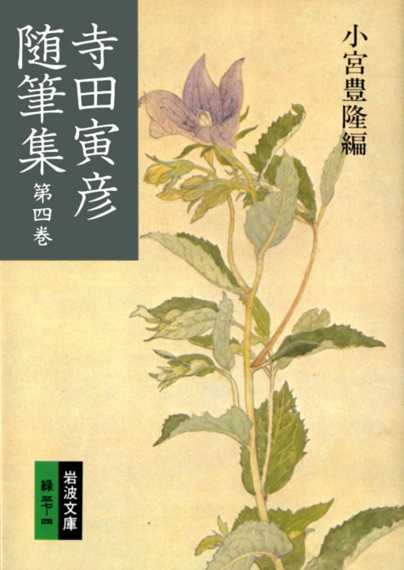 寺田寅彦随筆集 (4) (岩波文庫)