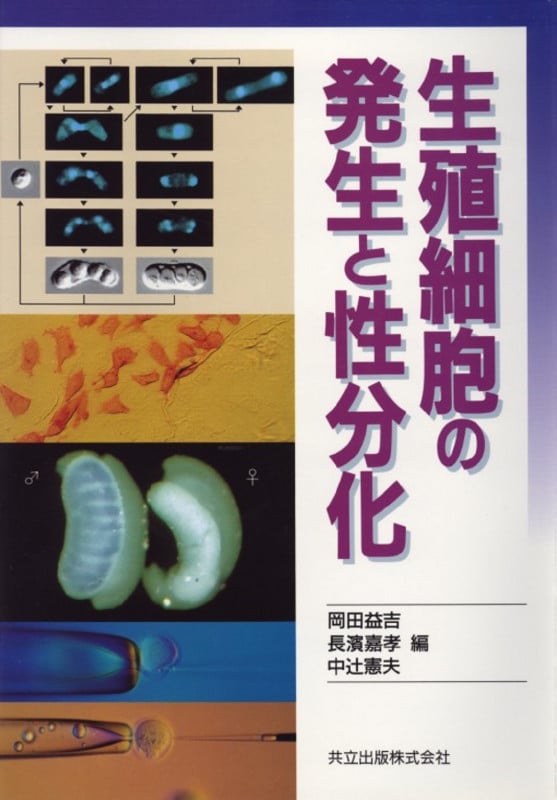 生殖細胞の発生と性分化