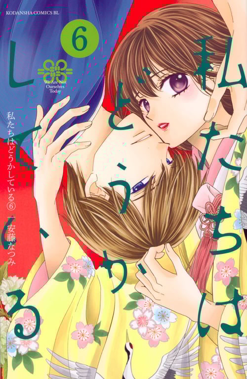 私たちはどうかしている (6) (ビーラブKC)