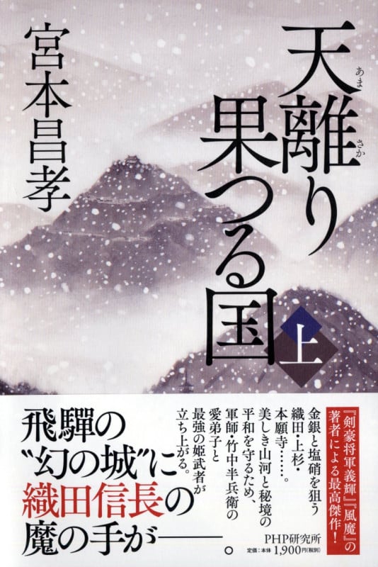 天離り果つる国 (上)