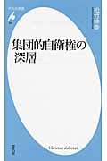 集団的自衛権の深層 (平凡社新書 696)