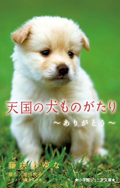 天国の犬ものがたり~ありがとう~ (小学館ジュニア文庫)
