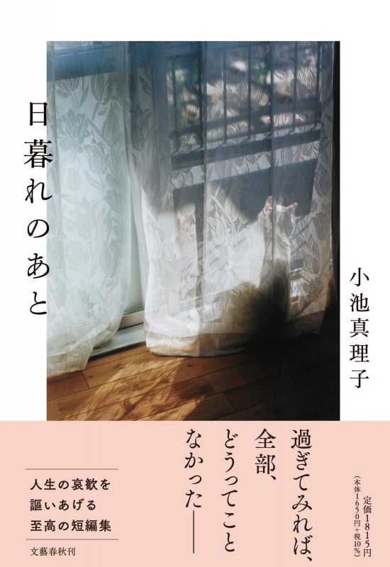 日暮れのあとの詳細を見る