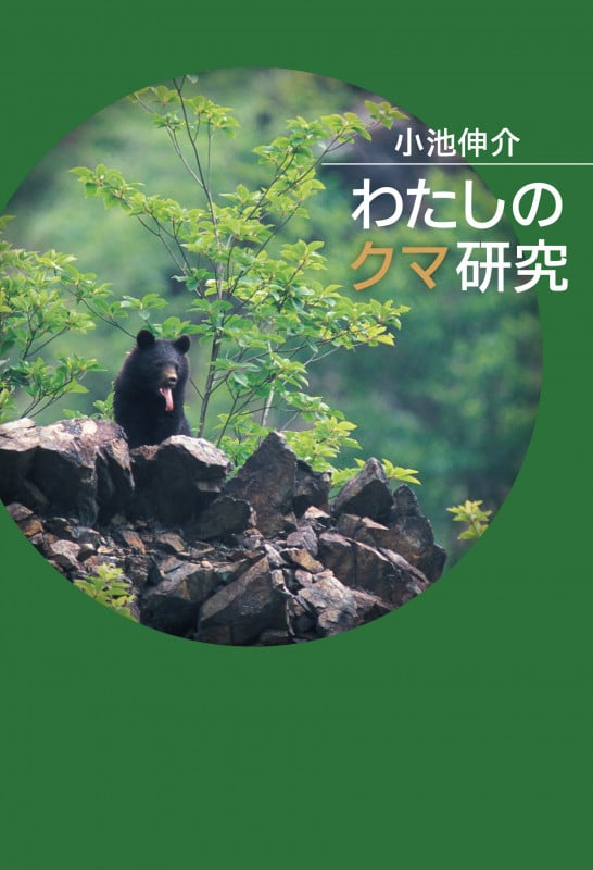 わたしのクマ研究