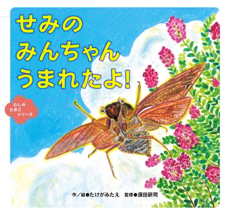 せみの みんちゃん うまれたよ! (むしのたまごシリーズ)