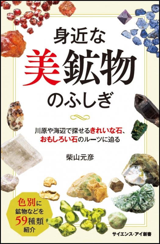 身近な美鉱物のふしぎ 川原や海辺で探せるきれいな石、おもしろい石のルーツに迫る (サイエンス・アイ新書)