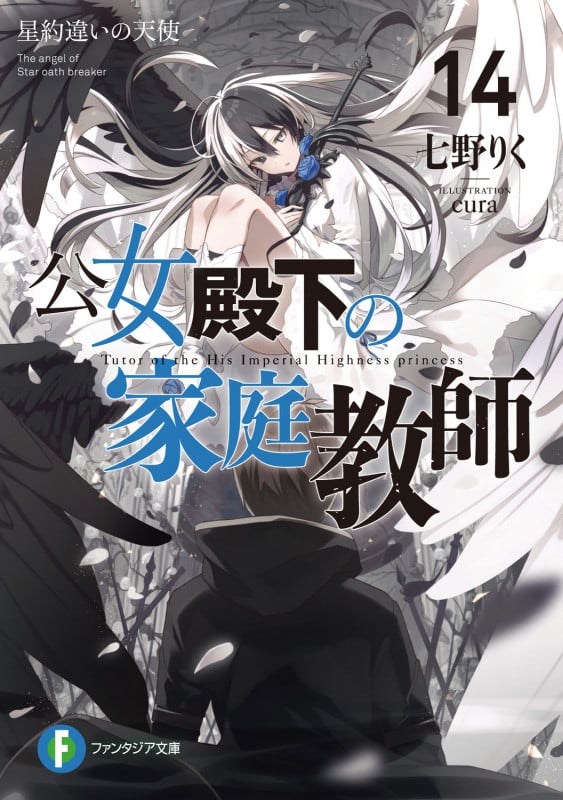 公女殿下の家庭教師 星約違いの天使 (14) (富士見ファンタジア文庫)