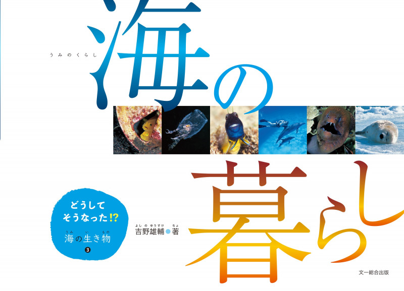 海の暮らし どうしてそうなった!?海の生き物 3