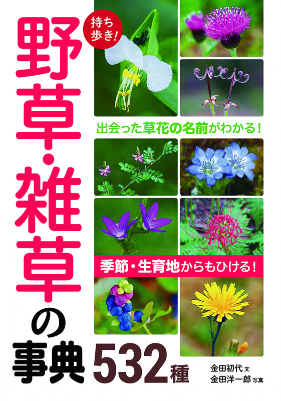 持ち歩き!野草・雑草の事典532種