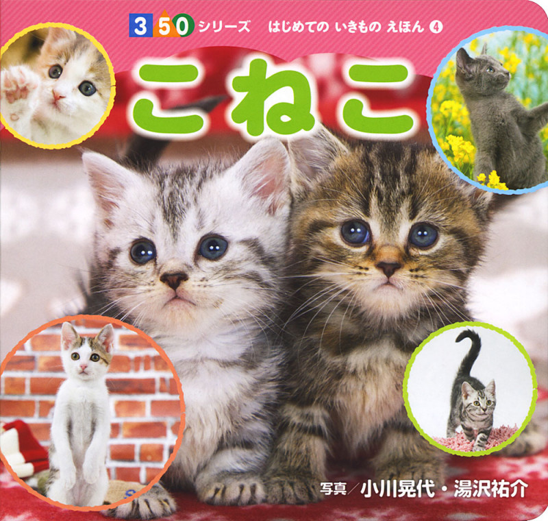 こねこ (350シリーズ はじめてのいきものえほん 4)