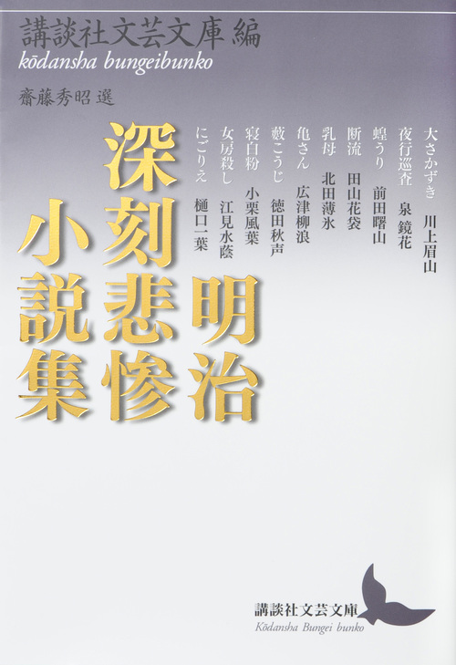 明治深刻悲惨小説集 (講談社文芸文庫)